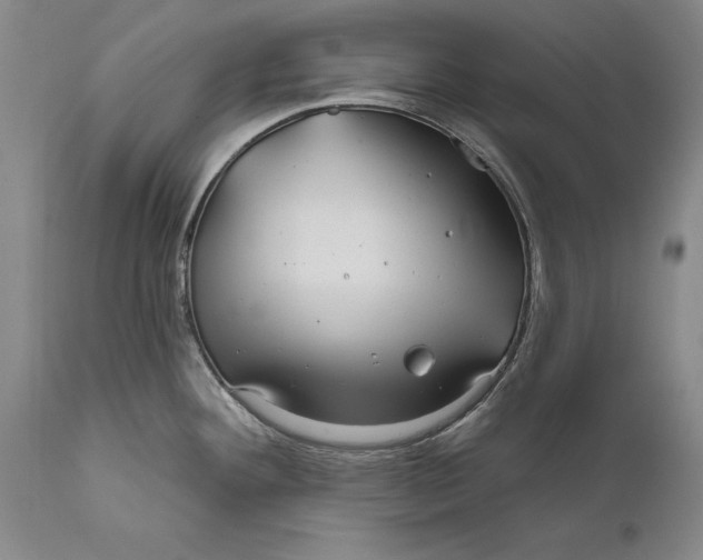 X0000111671292200908071448