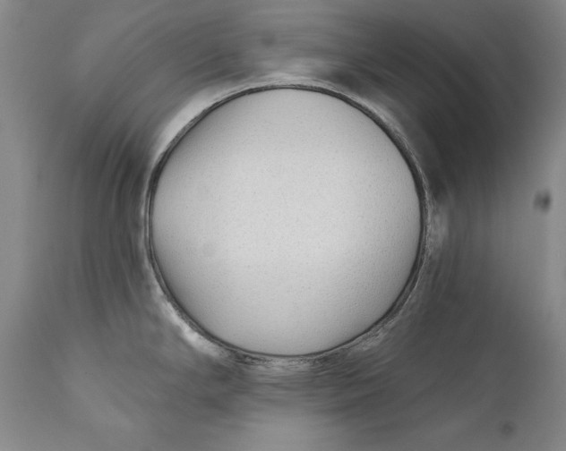 X0000111671294200908071448