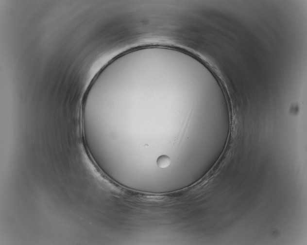 X0000111671295200908071448