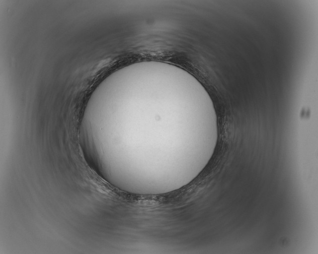 X0000111671297200908071448