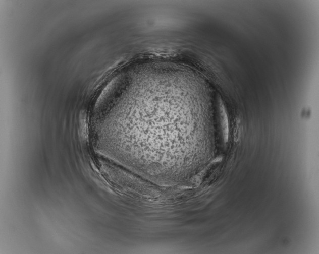 X0000111671298200908071448