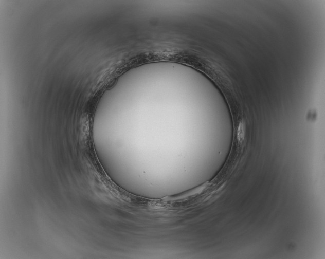 X0000111671299200908071448