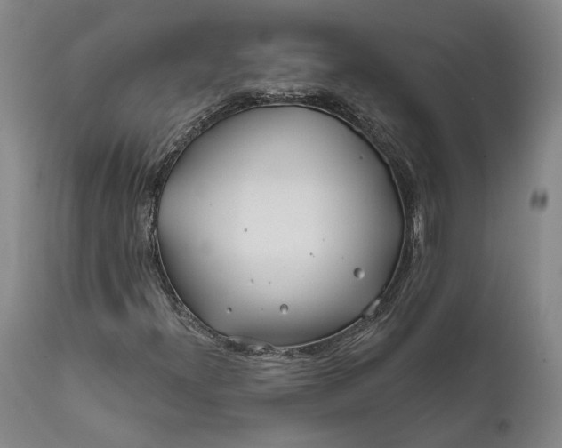 X0000111671300200908071448