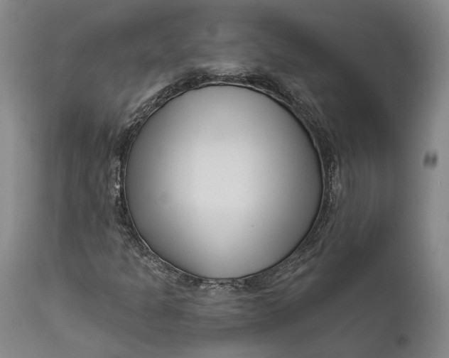 X0000111671301200908071448