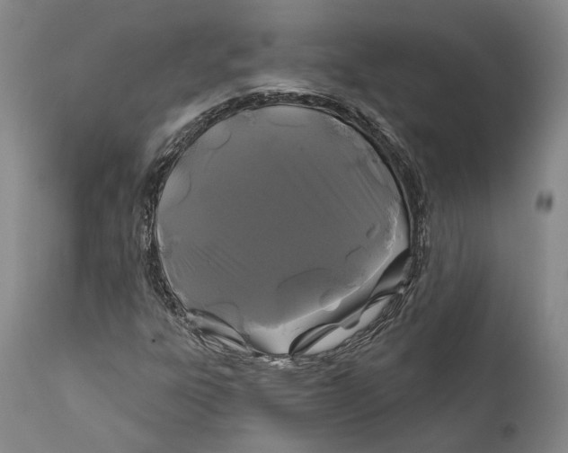 X0000111671303200908071448