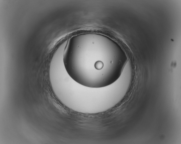 X0000111671304200908071448