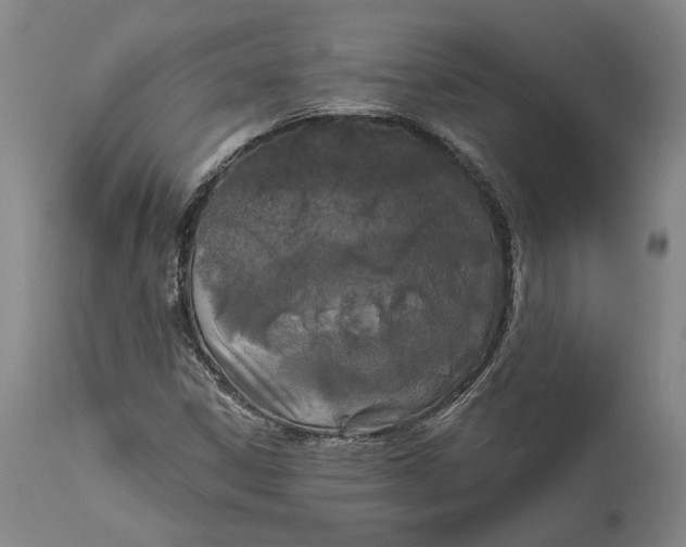 X0000111671306200908071448