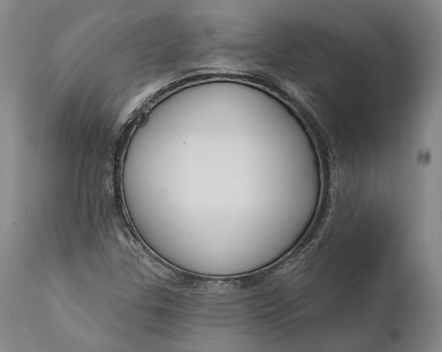 X0000111671307200908071448