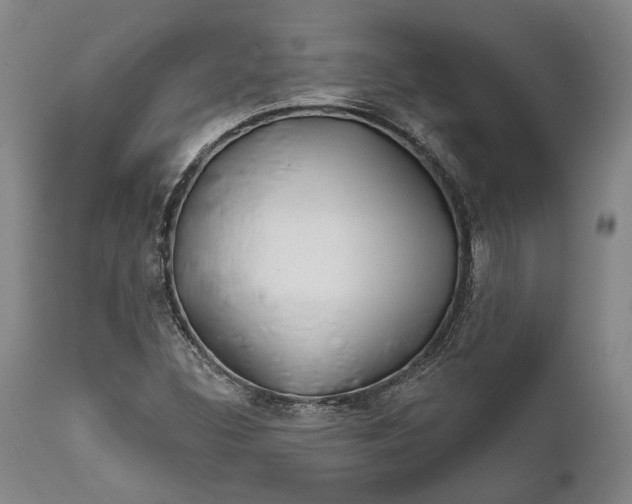 X0000111671308200908071448