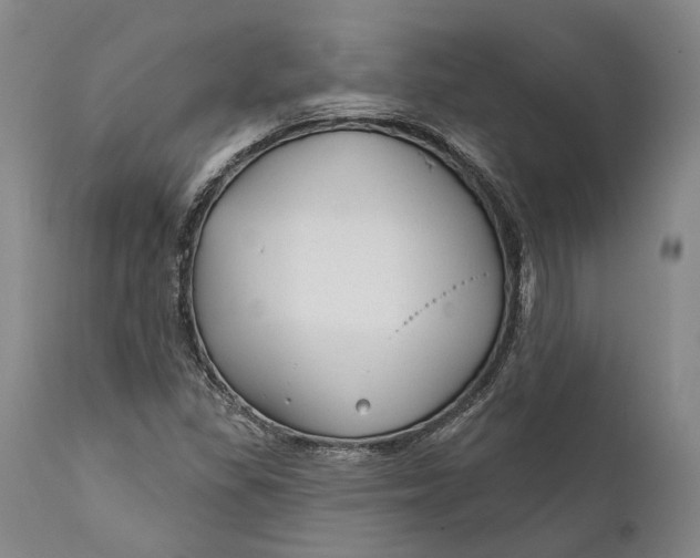 X0000111671309200908071448