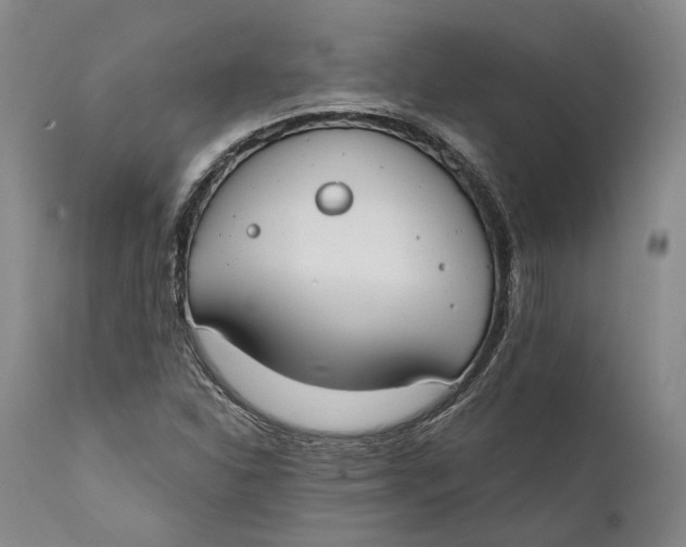 X0000111671310200908071448