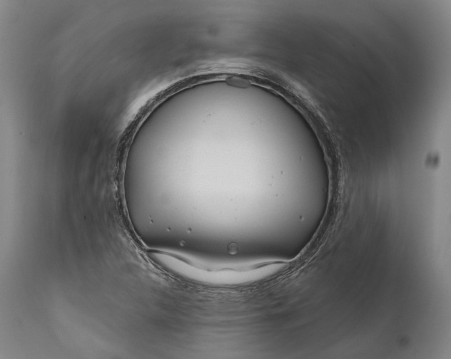 X0000111671312200908071448