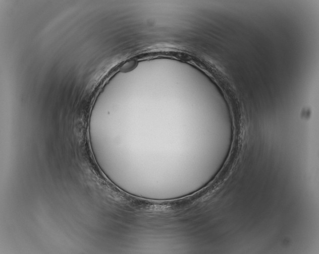 X0000111671313200908071448