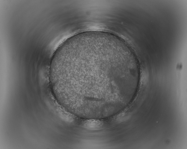 X0000111671314200908071448