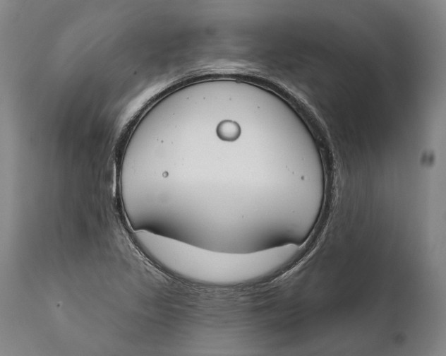 X0000111671317200908071448