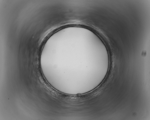 X0000111671318200908071448