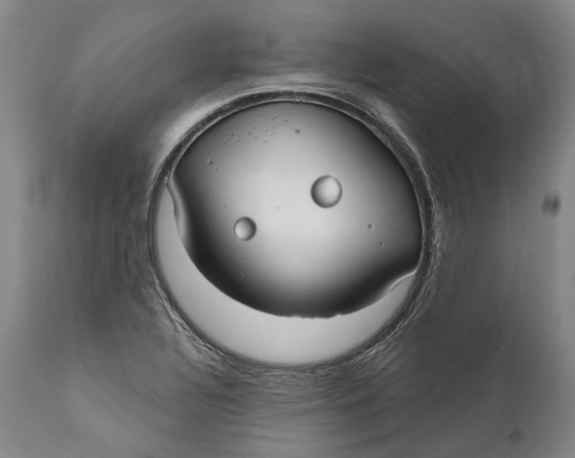 X0000111671320200908071448