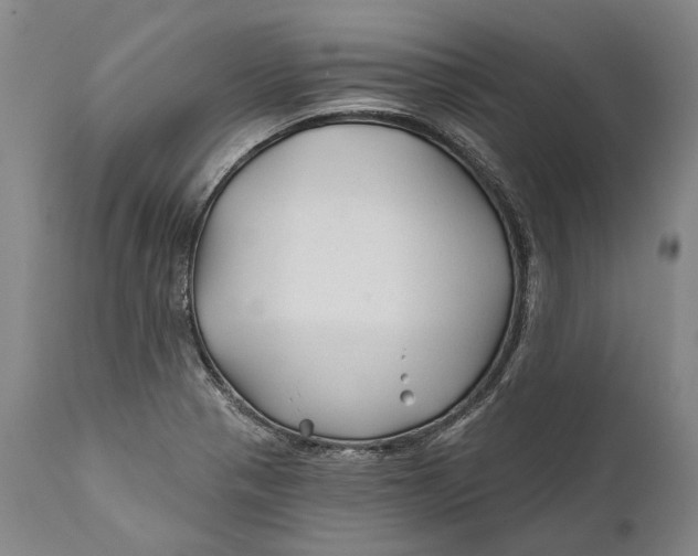 X0000111671321200908071448