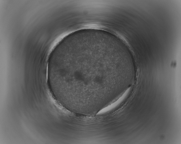 X0000111671323200908071448