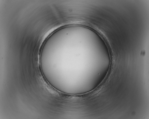 X0000111671324200908071448