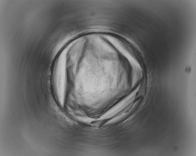 X0000111671325200908071448