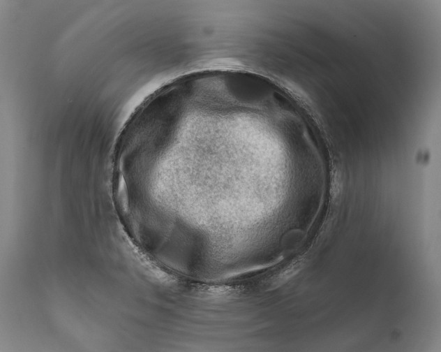 X0000111671326200908071448