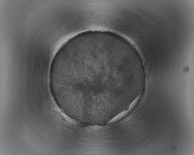 X0000111671327200908071448