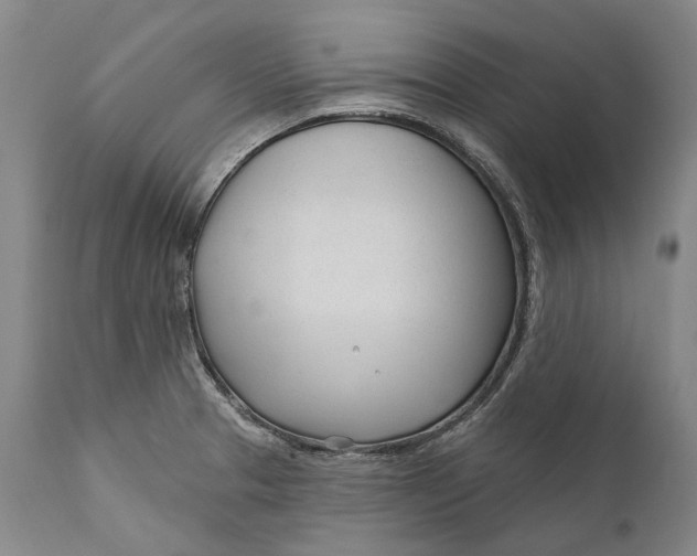 X0000111671329200908071448