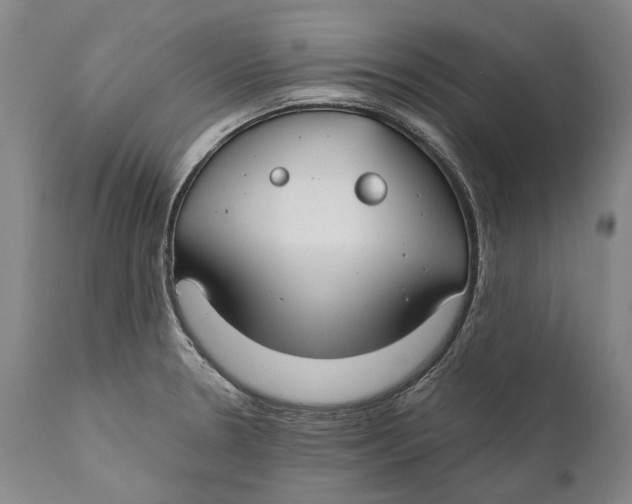 X0000111671330200908071448