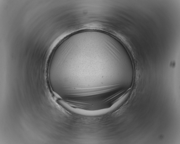 X0000111671331200908071448