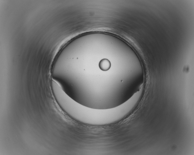 X0000111671332200908071448