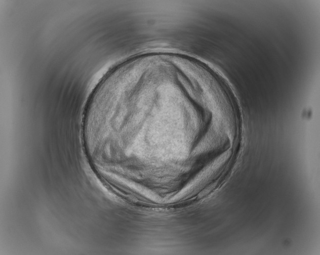 X0000111671333200908071448