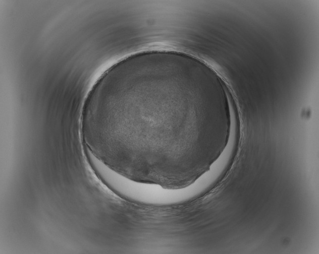 X0000111671334200908071448