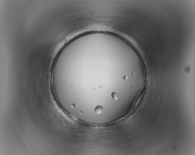 X0000111671335200908071448