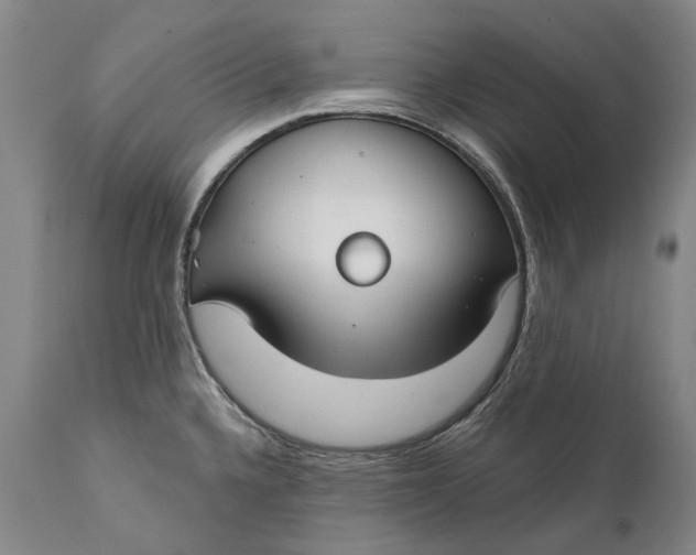 X0000111671336200908071448