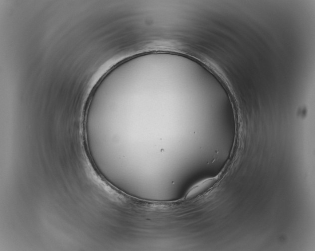 X0000111671339200908071448