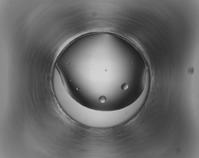 X0000111671340200908071448