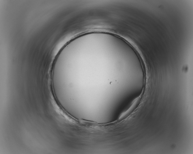 X0000111671341200908071448