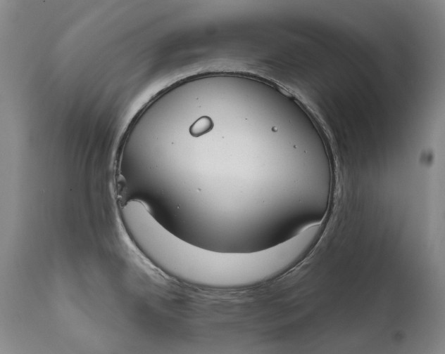 X0000111671342200908071448