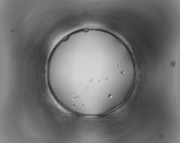 X0000111671343200908071448