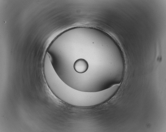 X0000111671344200908071448