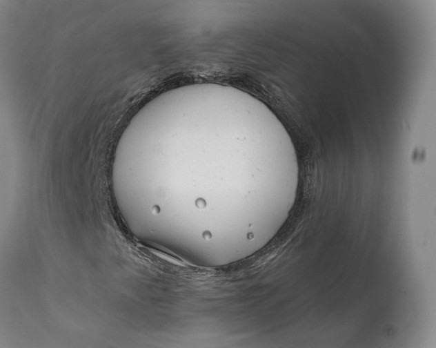 X0000111671345200908071448