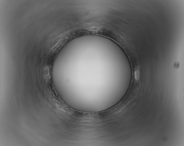 X0000111671347200908071448