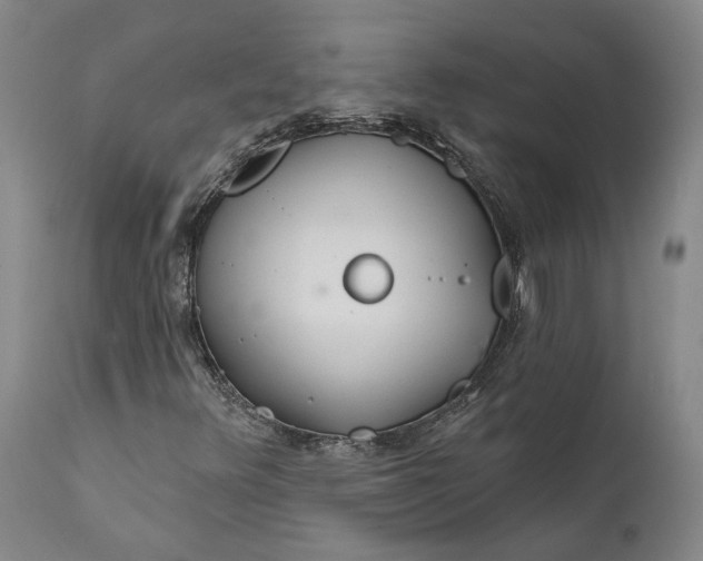 X0000111671348200908071448