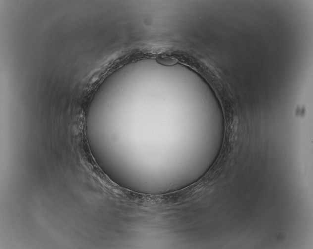 X0000111671349200908071448