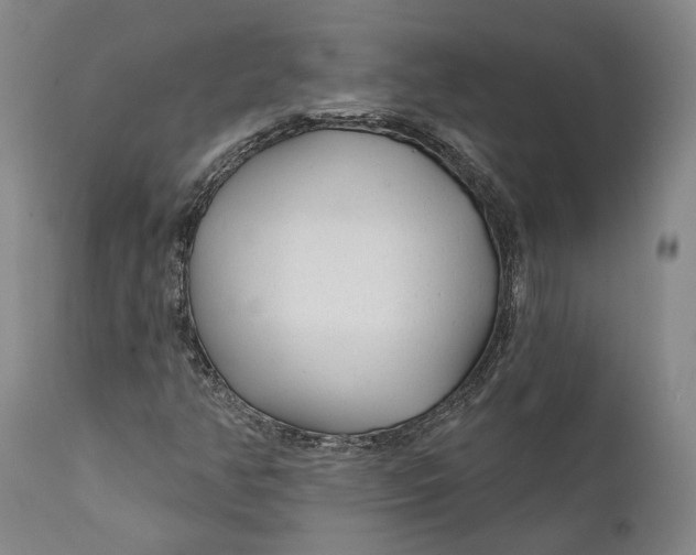 X0000111671350200908071448