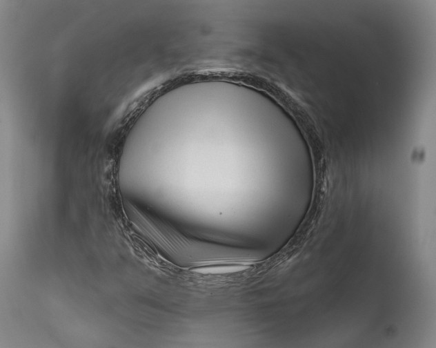 X0000111671351200908071447