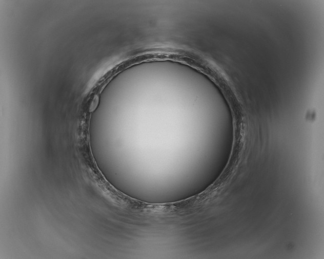 X0000111671352200908071447