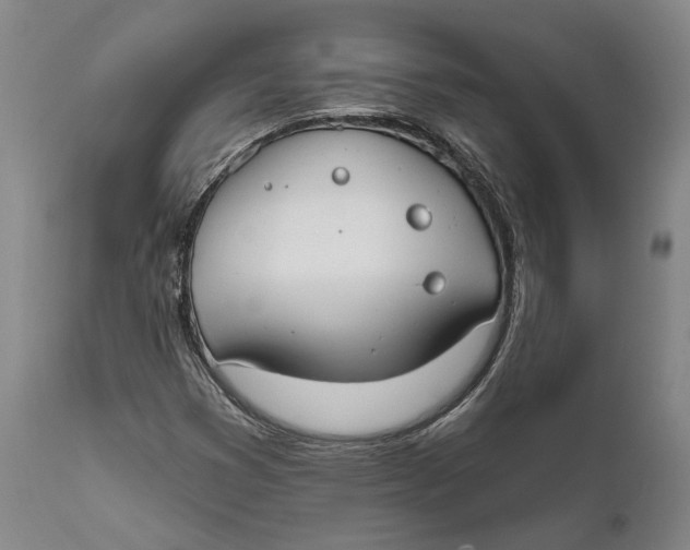 X0000111671353200908071447