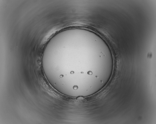 X0000111671355200908071447